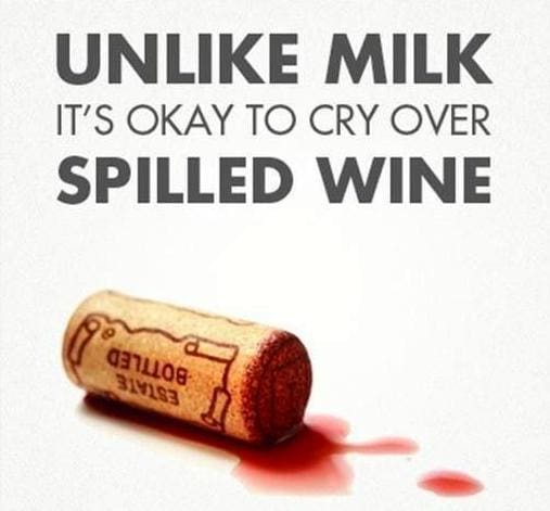 #grapeandwhiskey  #grapes  #wine  #wines  #tasting  #winetasting  #winelover  #glass  #friends  #love  #cheers #winememes #meme #memes