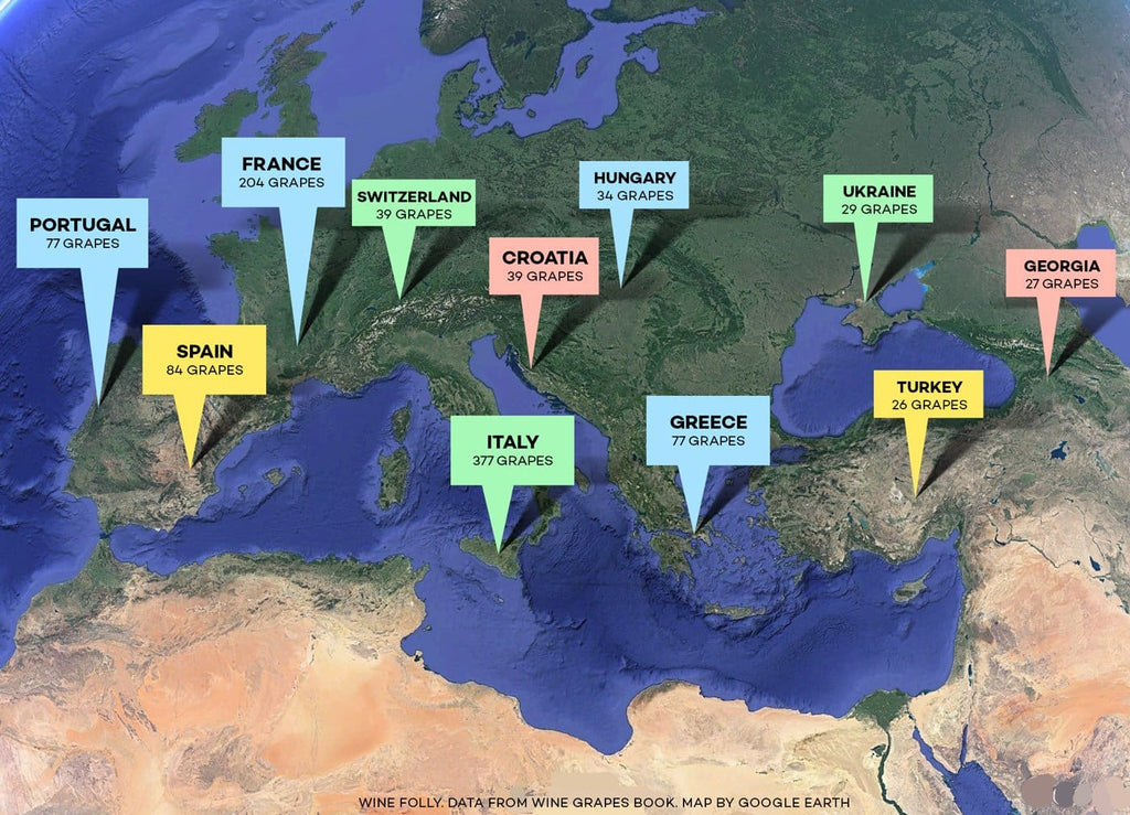 Where Did Wine Come From?