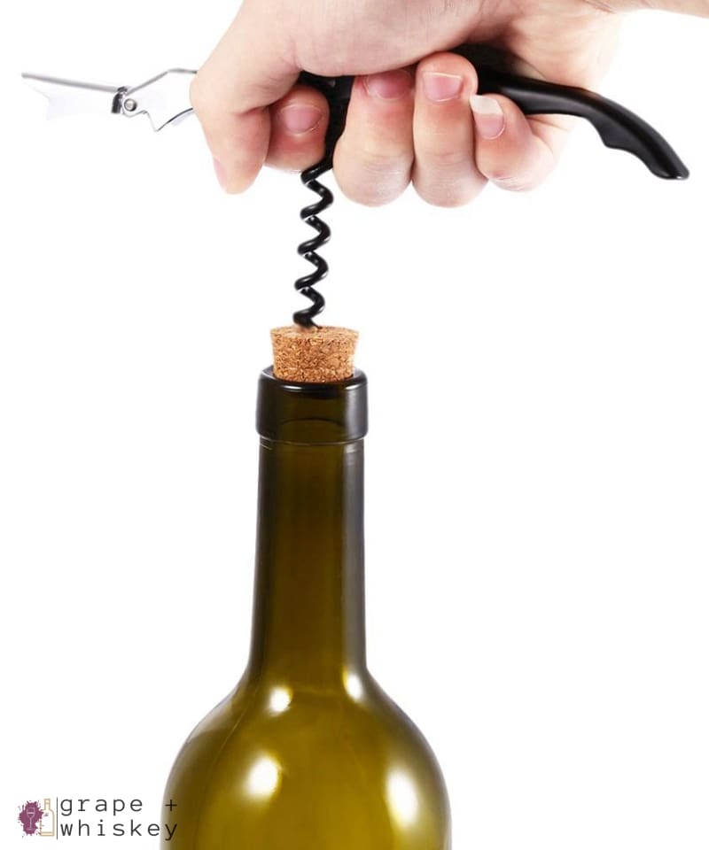 &quot;The Seahorse&quot; Wine Bottle Opener -  - Grape and Whiskey